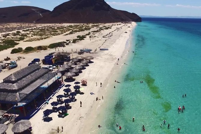 La Paz and Todos Santos City and Beaches Tour