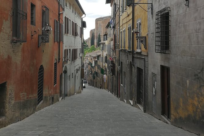 Lets Discover Siena!