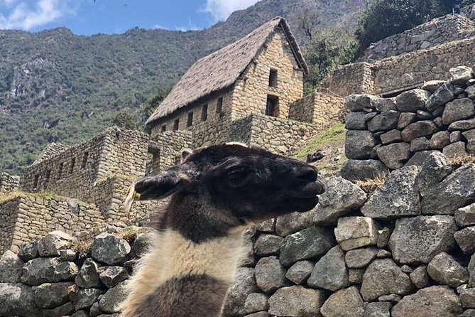 Machupicchu Full Day