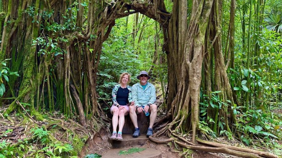 10 Best Bike Tours In Honolulu