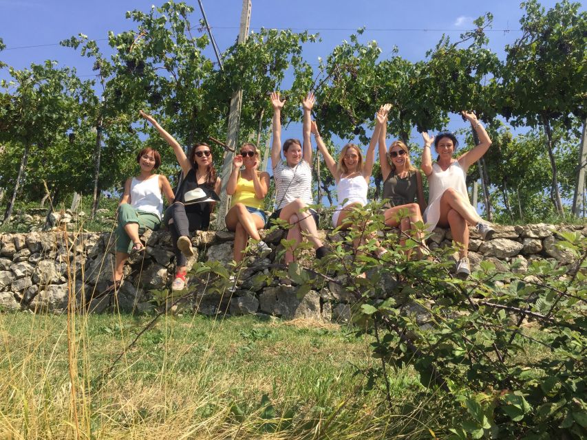 Marano Di Valpolicella: DOP Olive Oil Tasting Experience
