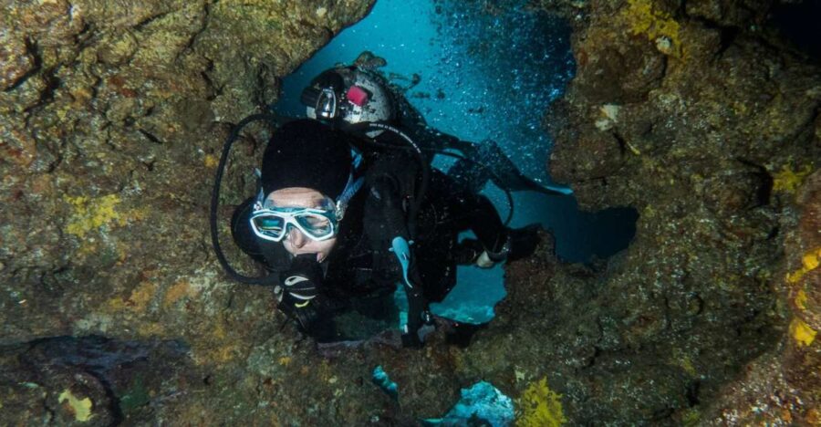 Maui: Eco-Friendly Conservation Scuba Dive Certified Divers