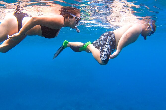 Maui to Lanai Semi-Private Eco Raft Snorkel & Dolphin Tour