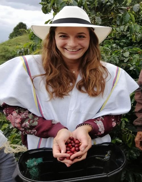Medellín Coffee Farm Tour With Trolley and Cable Car Ride
