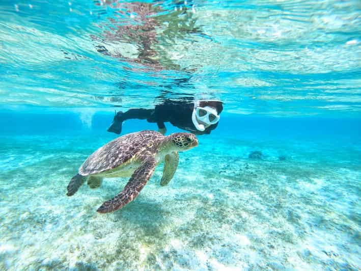 Top 10 Snorkeling Tours In Miyakojima