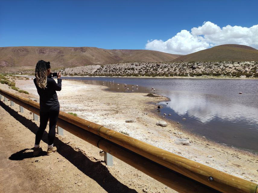 One Day With One of Our Expert Guides in Your Car