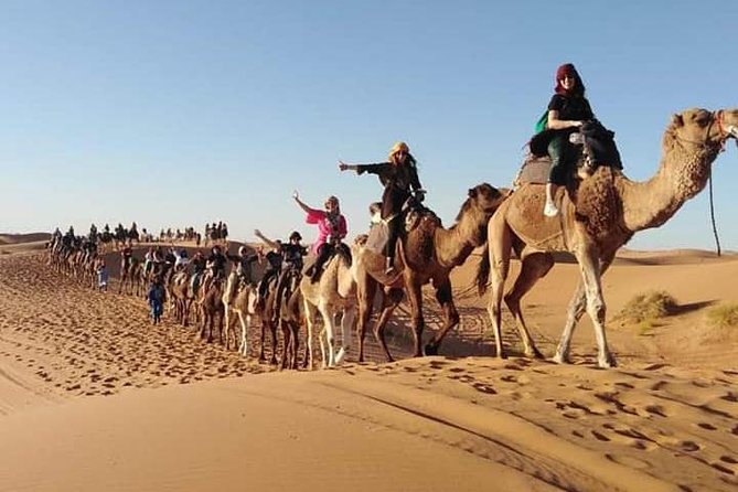 Overnight Luxury Desert Trip Form Fez To Fez
