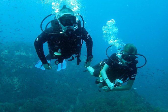 7 Best Scuba Diving Experiences In Koh Tao