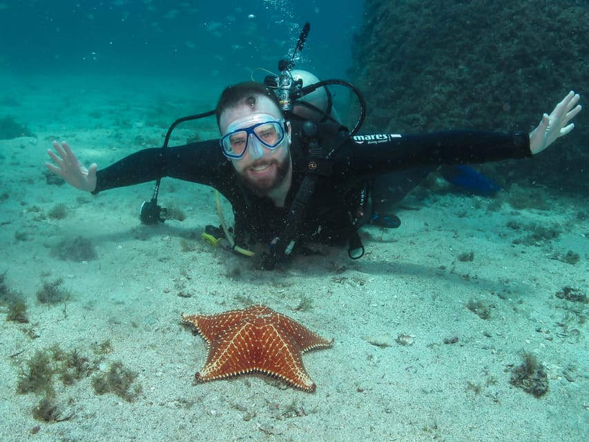 Paraty: Discovery Scuba Diving Experience for Beginners