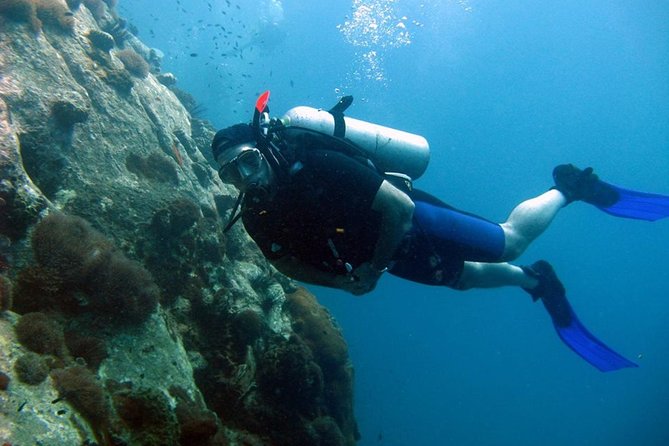 Pattaya PADI Scuba Diving Two Exciting Try Dives With PADI Instructor in Pattaya