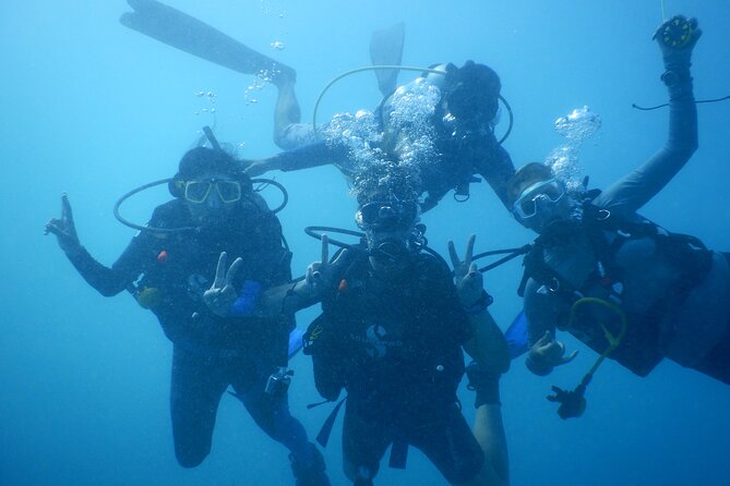Private Discovery Scuba Diving With Sea Turtles