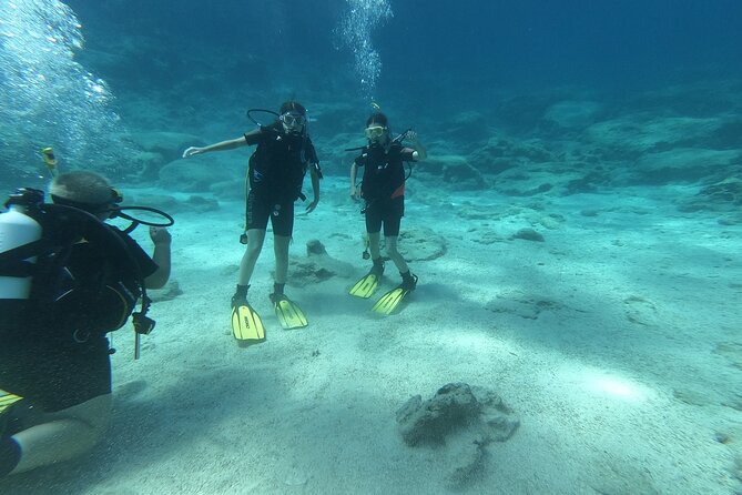 Private Diving Cyprus Experience Protaras and Ayia Napa & Turtles