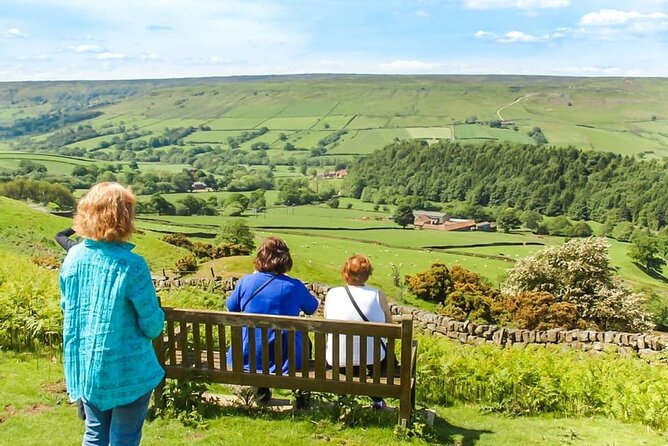 Private Half-Day North York Moors National Park Tour From York or Harrogate