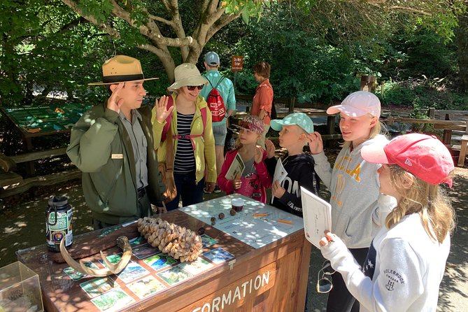 Private Tour Muir Woods and Sausalito
