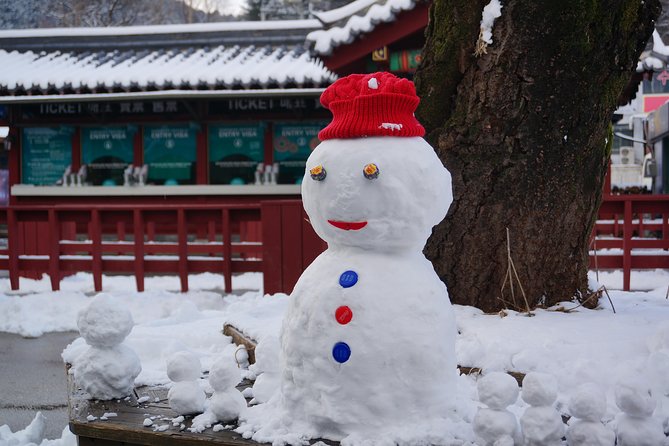Private Tour Rail Bike & Nami Island & (Petite France or Garden of Morning Calm)