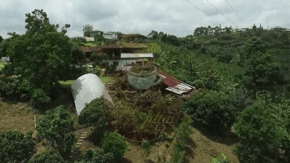 Private Tour to Coffee Farm (Farm of Your Choice)