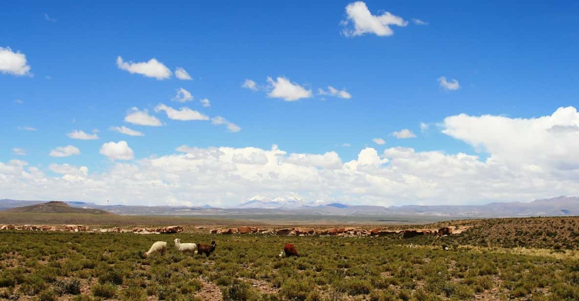 Private VIP Service: San Pedro De Atacama – Uyuni (4d/3n)