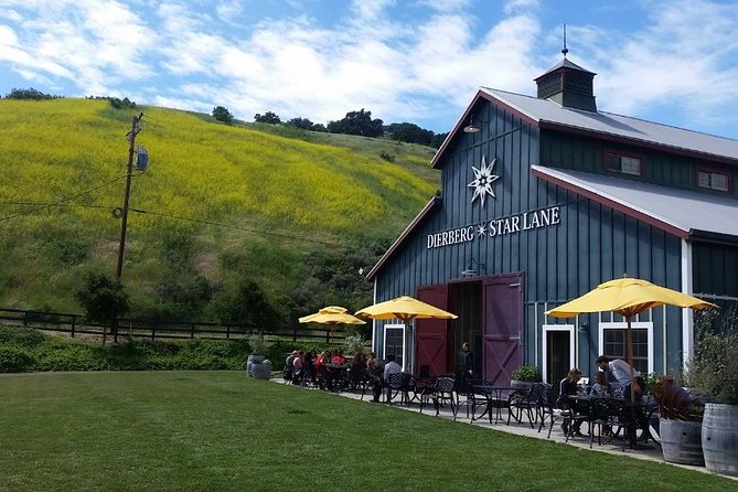 Private Wine Tasting Tour From Santa Ynez, Solvang or Buellton!