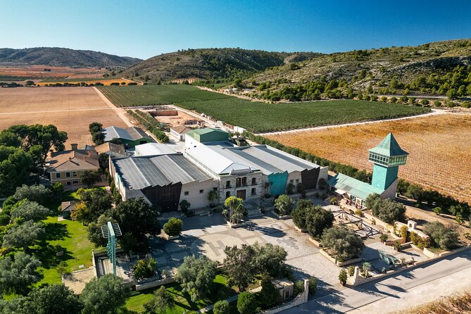 Private Wine Tour to the Costa Blanca Wineries