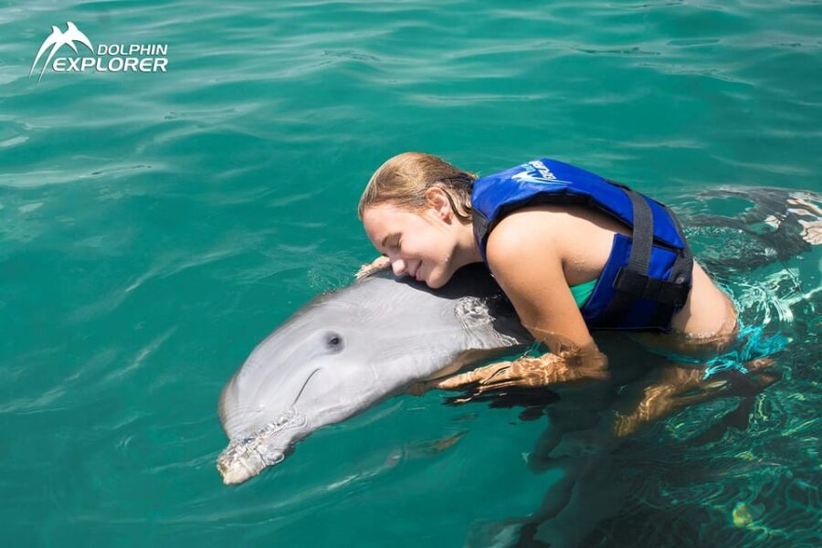 7 Best Dolphin Watching Tours In Punta Cana