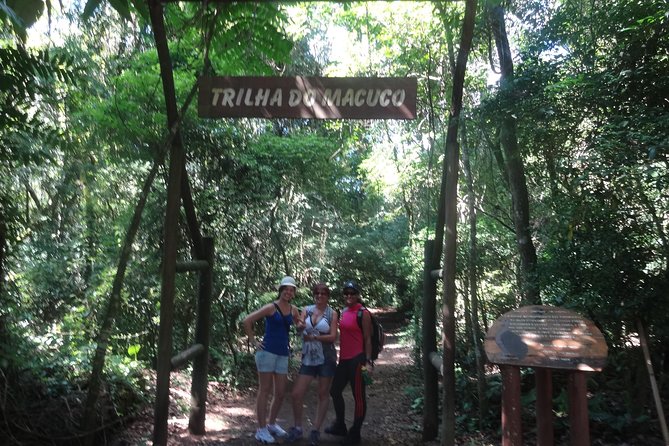 Rain Forest Trail Cantareira Natural Park From Sao Paulo