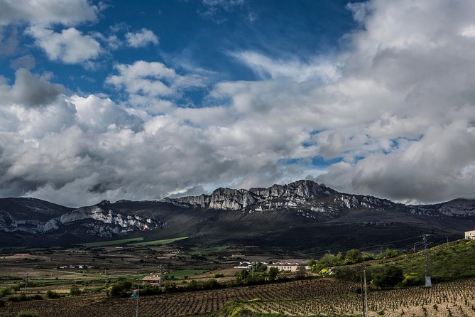 Rioja Wine Tour: Winery & Traditional Lunch From Pamplona