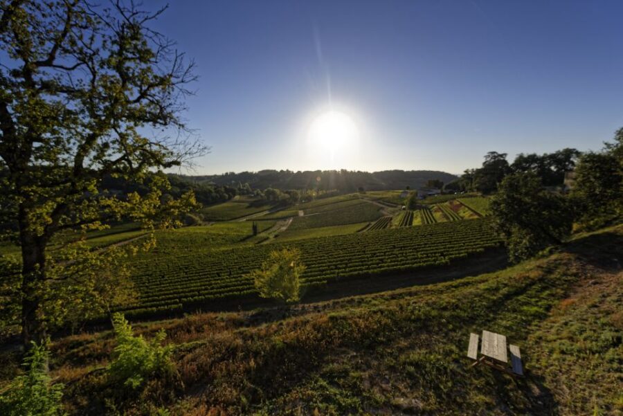 13 Best Wine Tours In Saint Emilion