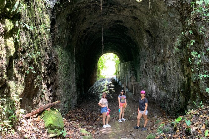 Salento, Cocora + Santa Rita Waterfall From Pereira or Armenia