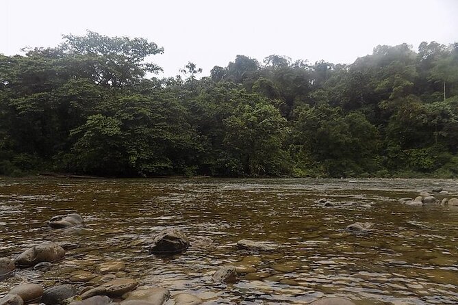 San Cipriano Natural Reserve Full Day Adventure