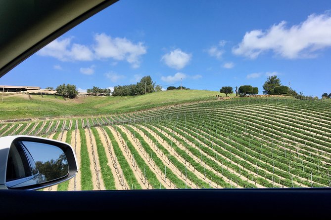 Santa Barbara Small-Group Wine Tour to Private Estates & Wineries
