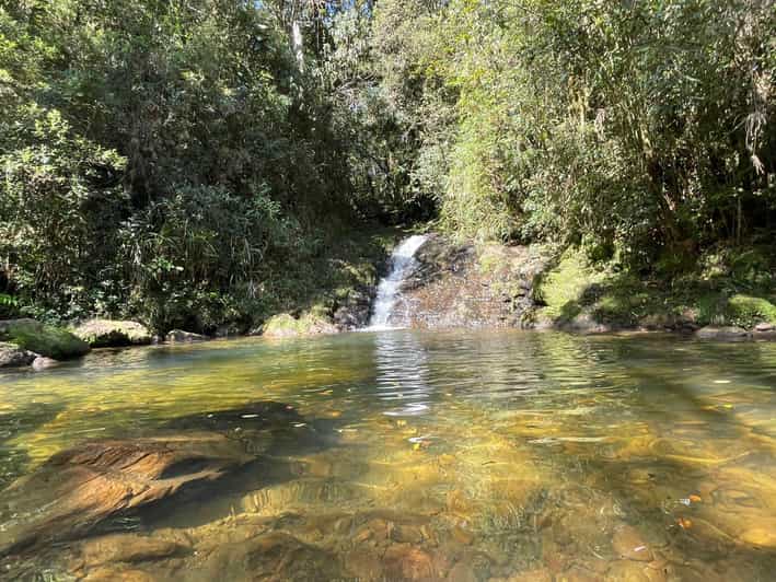 São Paulo: Atlantic Forest Day Trip With a Biologist