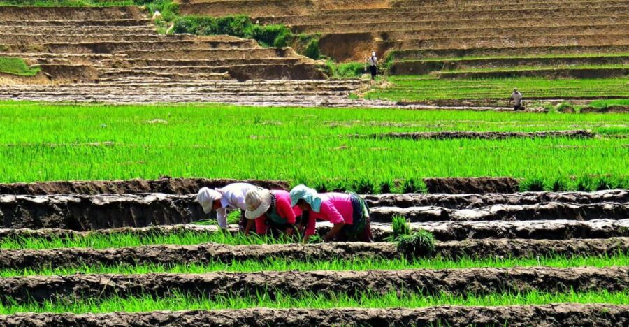 20 Best Hiking And Trekking Tours In Sa Pa