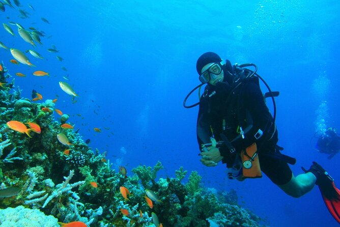scuba-diving-to-dimaniyat-islands-muscat-oman-overview-of-dimaniyat-islands