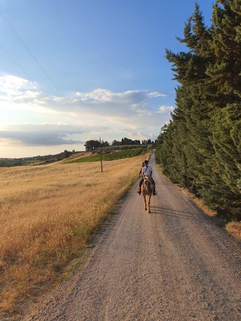 25 Best Tours In Siena