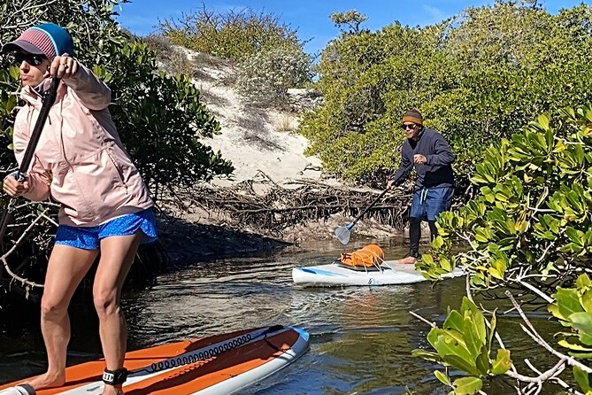 Small Group Sea Lions & Paddleboard Tour – Balandra Beach