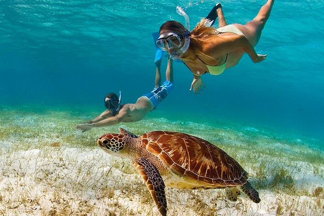 Snorkeling Paddle Private Catamaran 1/2 Day Turks and Caicos Islands