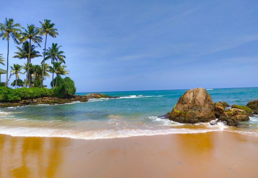 25 Best Safari Tours In Galle
