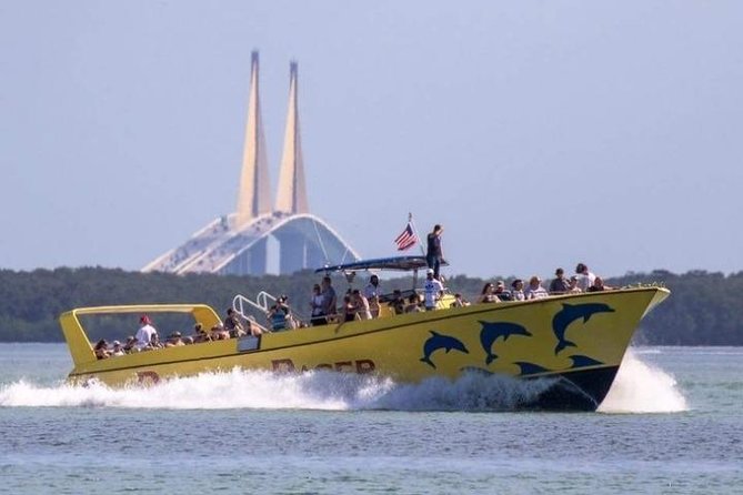 20 Best Dolphin Watching Tours In St Petersburg