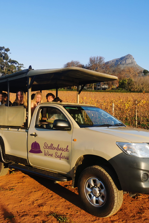9 Best Guided Tours In Stellenbosch