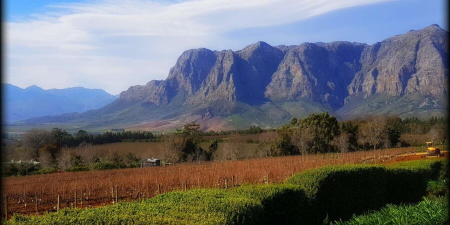 Stellenbosch Mavericks Wine Tasting Tour