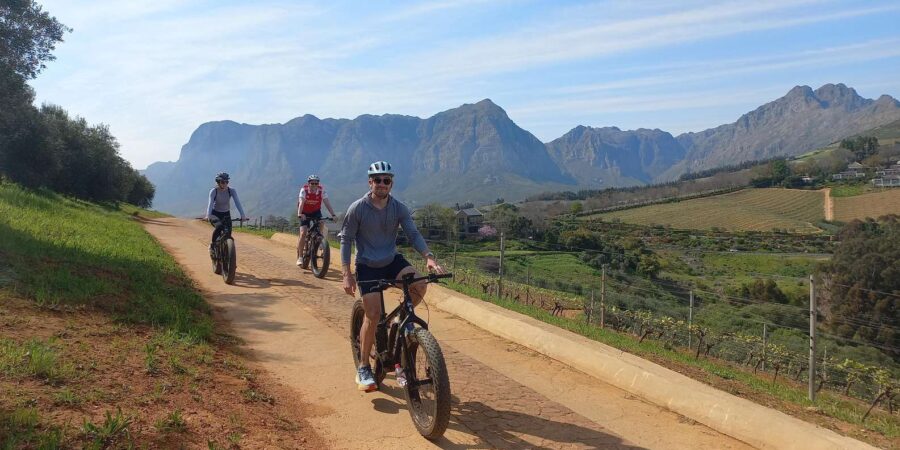 Stellenbosch: Stellenbosch E-Bike & Wine Tour (Shared Tour)