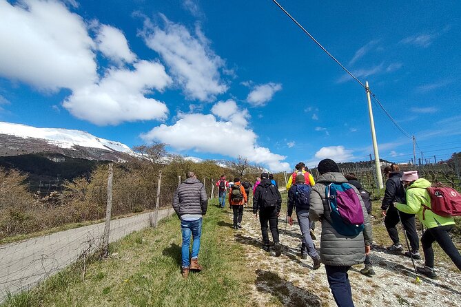 Tasting of Organic Mountain Wines With Vineyard and Cellar Tour