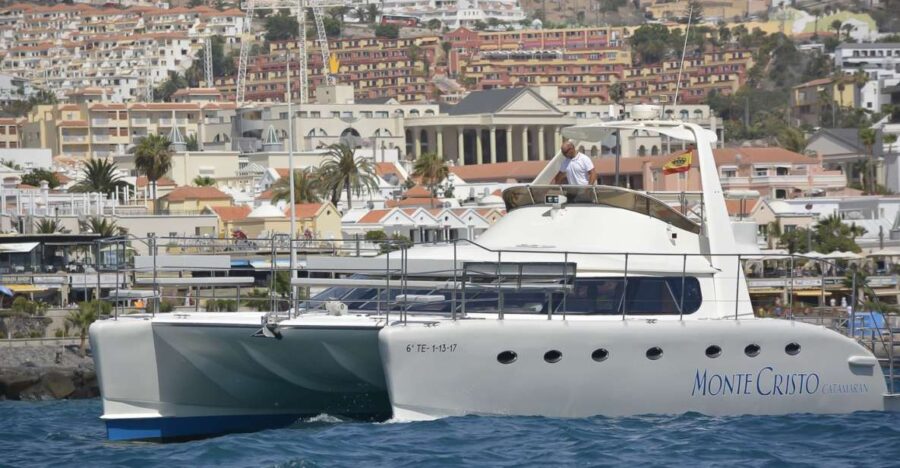 tenerife-marine-life-tour-with-transfer-buffet-and-drinks-overview-of-the-marine-life-tour