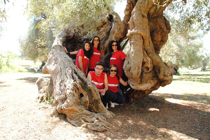 25 Best Tours In Alberobello and Locorotondo