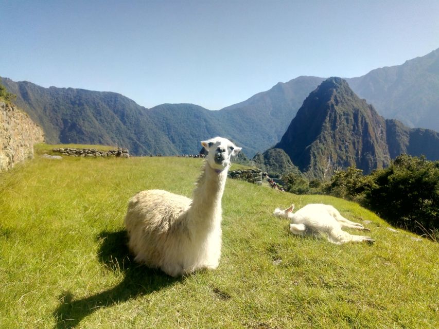 The Peru of the Andes