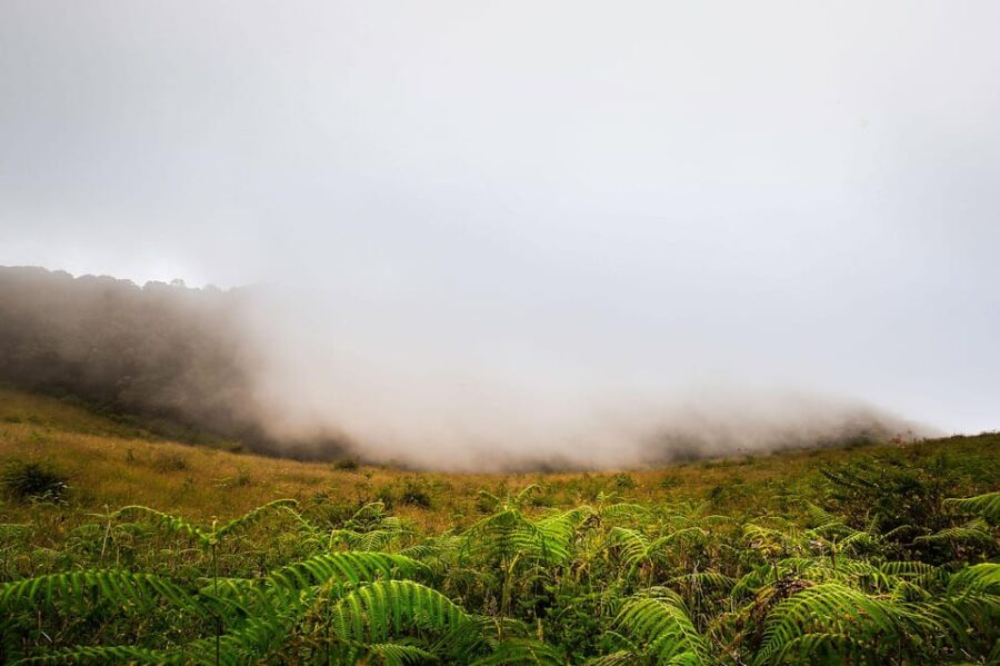 8 Best Hiking And Trekking Tours In Thailand