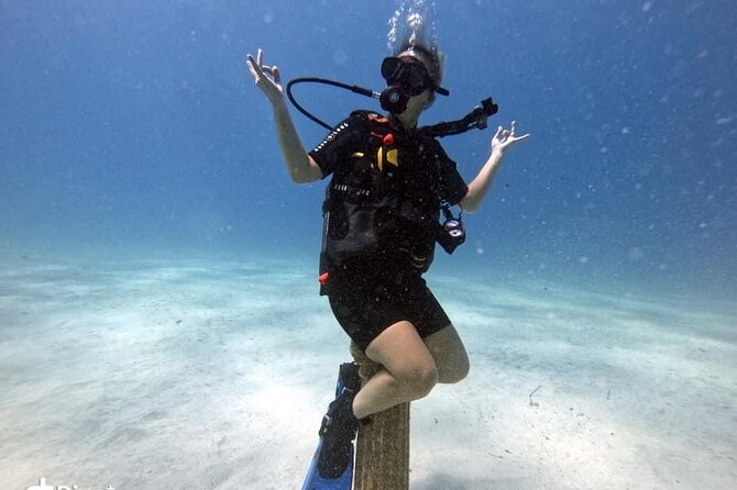 Try a Scuba Diving Experience