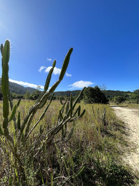 Ubatuba – Lagoon Beach Trail Circuit