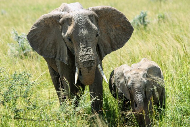 Uganda Wildlife Holiday – 8 Days