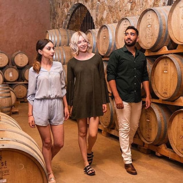 7 Best Wine Tours In Valle De Guadalupe
